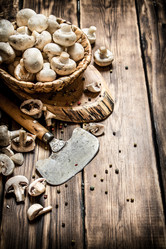 Similar image 15571494