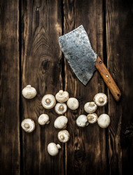 Similar image 15571495