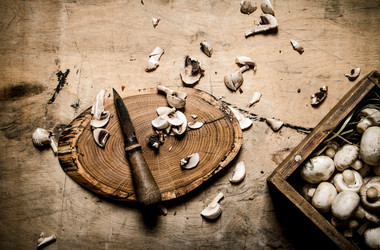 Similar image 15571511