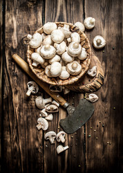 Similar image 15904644