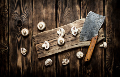 Similar image 15904582