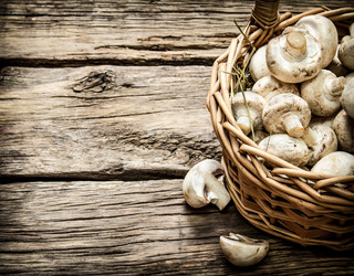 Similar image 15904501