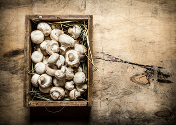 Similar image 15904478