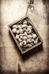 Similar image 15904464