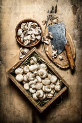 Similar image 15904403