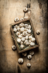 Similar image 15904384