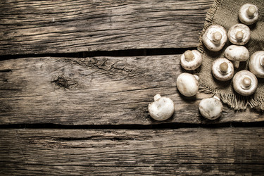 Similar image 15904321