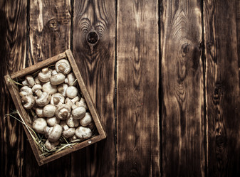 Similar image 15904800