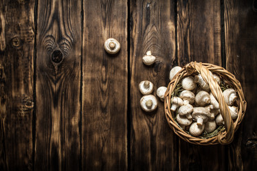 Similar image 15904662