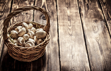 Similar image 15904700