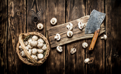 Similar image 15904723