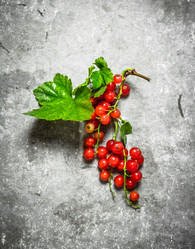 Similar image 15571336