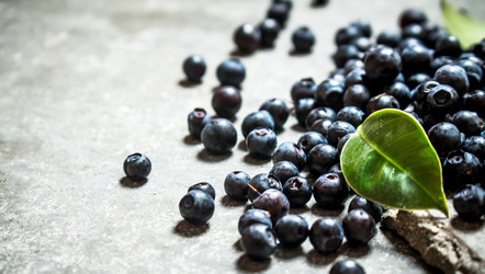 Similar image 15905294