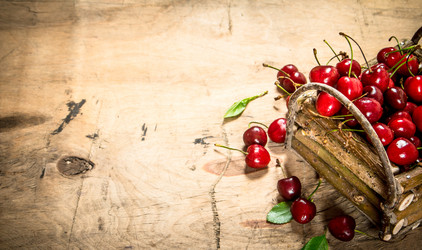 Similar image 15909856