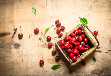 Similar image 15909898