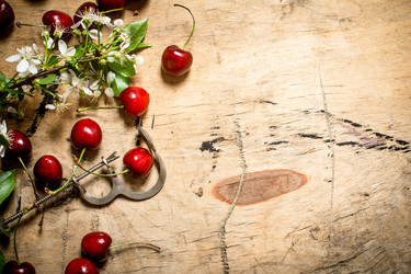 Similar image 15909979