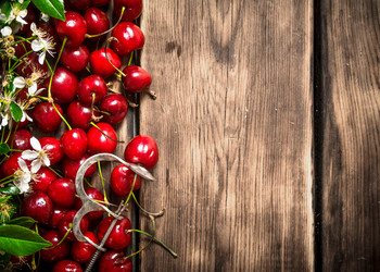 Similar image 15910503