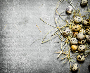 Similar image 15904305