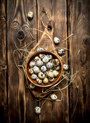 Similar image 15904706