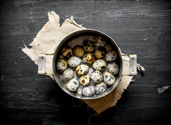 Similar image 15904749