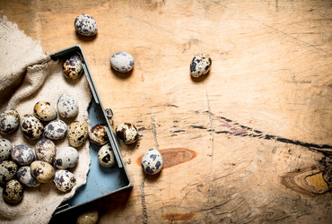 Similar image 15904966