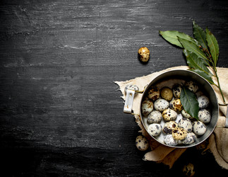 Similar image 15904985