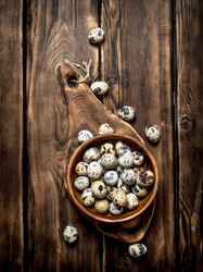 Similar image 15905392