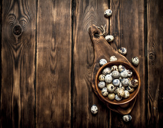 Similar image 15905460