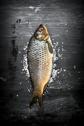 Similar image 15905614