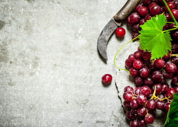 Similar image 15905886