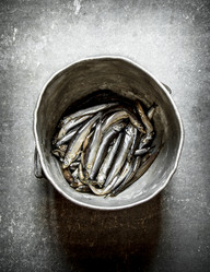 Similar image 15906007