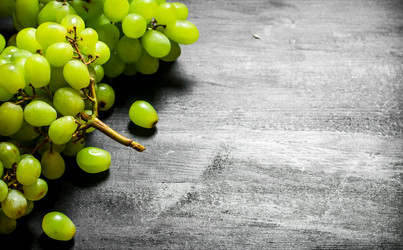 Similar image 15909823