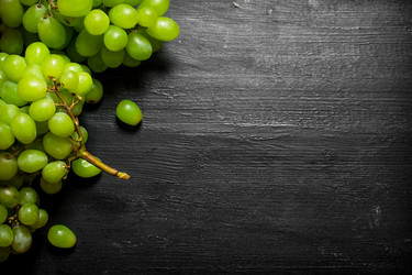 Similar image 15909860