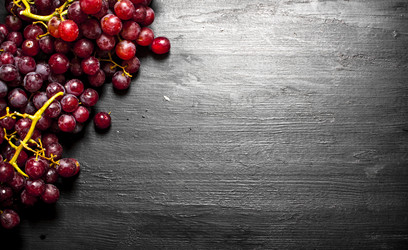 Similar image 15909886