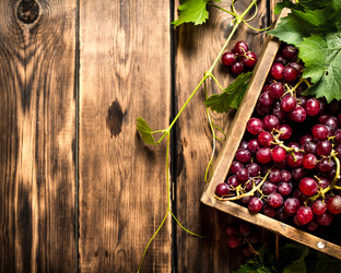 Similar image 15910104