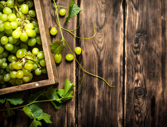 Similar image 15910139