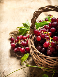 Similar image 15910164