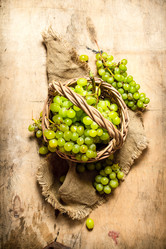 Similar image 15910186