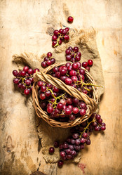 Similar image 15910604