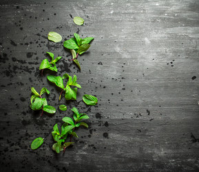 Similar image 15571079