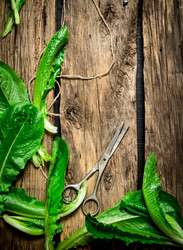 Similar image 15571123