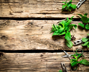 Similar image 15571131