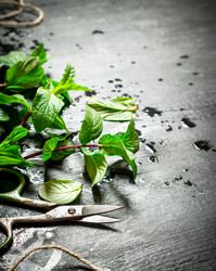 Similar image 15571157