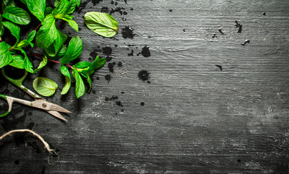 Similar image 15571202