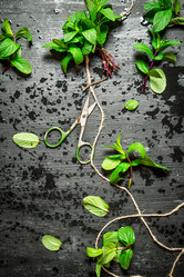 Similar image 15571257