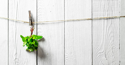 Similar image 15571298