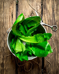 Similar image 15571375