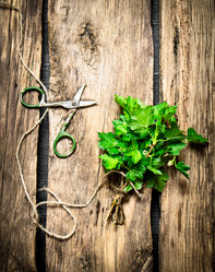 Similar image 15571393