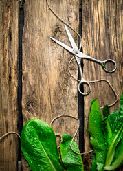 Similar image 15571416