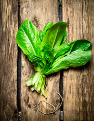 Similar image 15571477